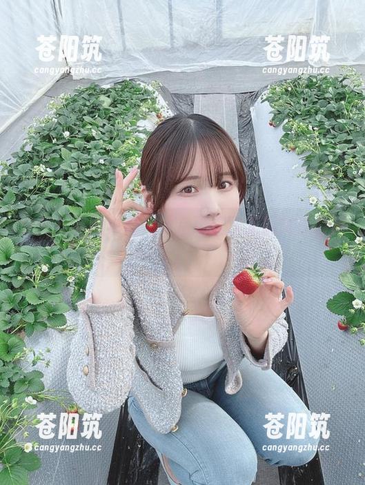 夕阳西下的美图，けん研这次又玩转泳装了！