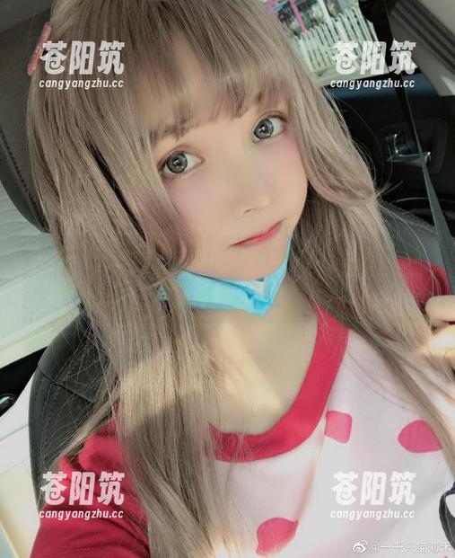 这组一千只猫薄禾的小姐女仆图，简直就是视觉的伪装！