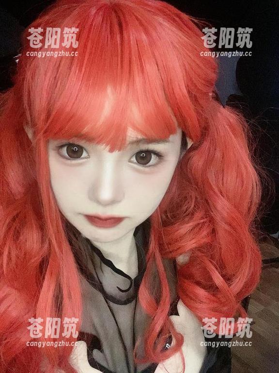 偷懒还是拍照？倦倦喵的居家写真，免费又放松！